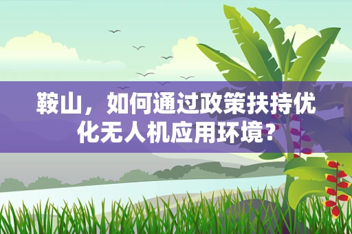 鞍山，如何通过政策扶持优化无人机应用环境？