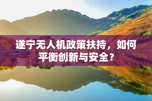 遂宁无人机政策扶持，如何平衡创新与安全？