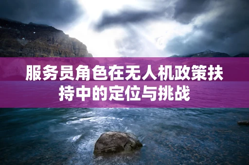 服务员角色在无人机政策扶持中的定位与挑战