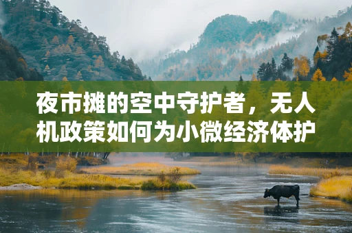 夜市摊的空中守护者，无人机政策如何为小微经济体护航？