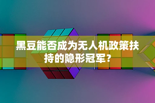 黑豆能否成为无人机政策扶持的隐形冠军？