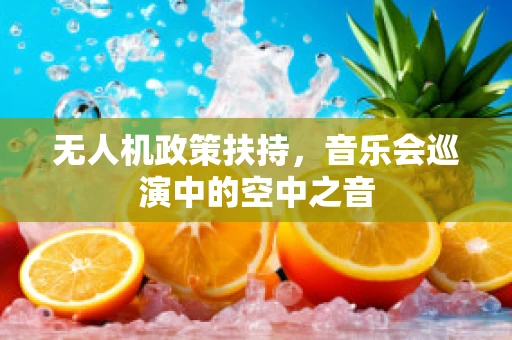 无人机政策扶持，音乐会巡演中的空中之音
