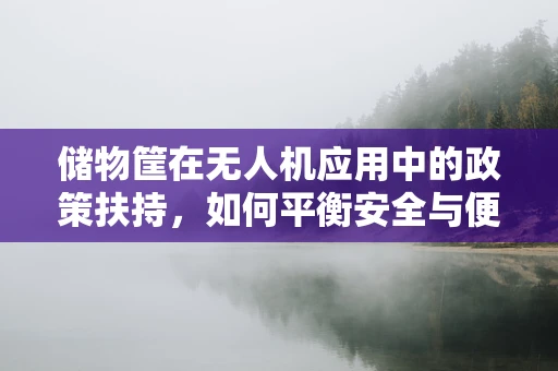 储物筐在无人机应用中的政策扶持，如何平衡安全与便利？
