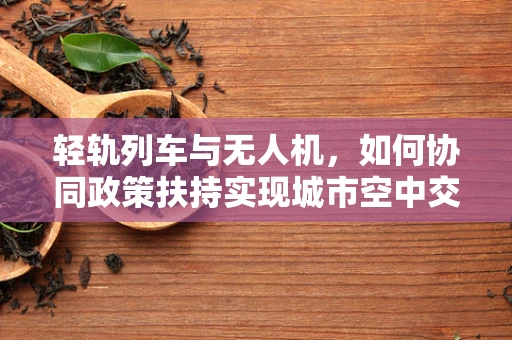 轻轨列车与无人机，如何协同政策扶持实现城市空中交通新生态？