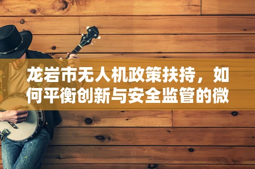 龙岩市无人机政策扶持，如何平衡创新与安全监管的微妙平衡？