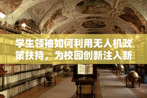 学生领袖如何利用无人机政策扶持，为校园创新注入新动力？