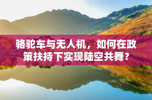 骆驼车与无人机，如何在政策扶持下实现陆空共舞？