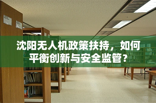沈阳无人机政策扶持，如何平衡创新与安全监管？