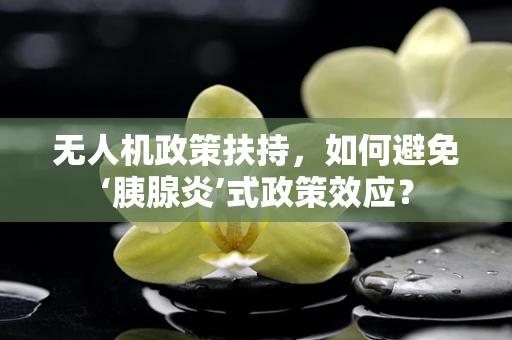 无人机政策扶持，如何避免‘胰腺炎’式政策效应？