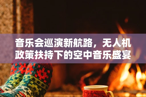 音乐会巡演新航路，无人机政策扶持下的空中音乐盛宴？