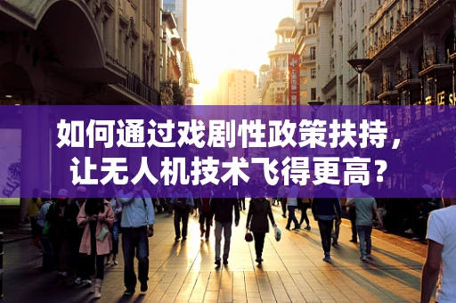 如何通过戏剧性政策扶持，让无人机技术飞得更高？