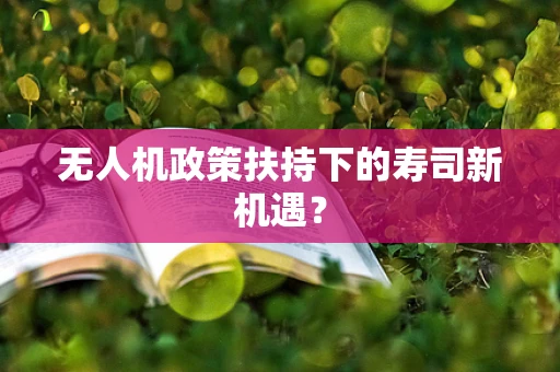 无人机政策扶持下的寿司新机遇？