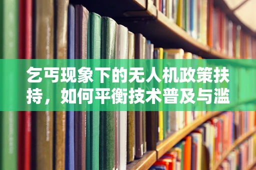 乞丐现象下的无人机政策扶持，如何平衡技术普及与滥用风险？