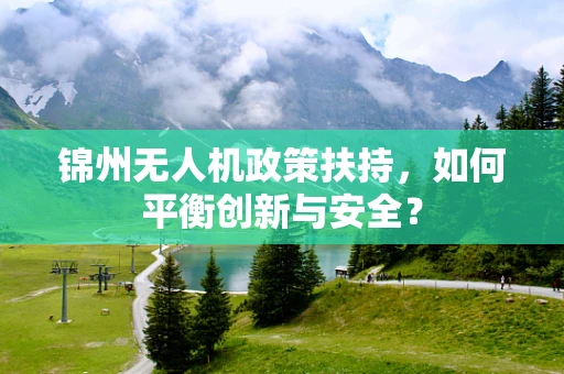 锦州无人机政策扶持，如何平衡创新与安全？