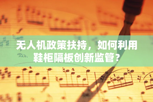无人机政策扶持，如何利用鞋柜隔板创新监管？