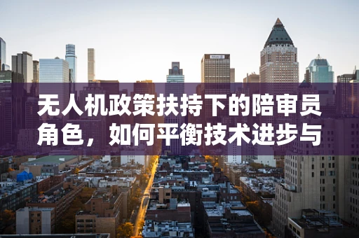 无人机政策扶持下的陪审员角色，如何平衡技术进步与法律监管？