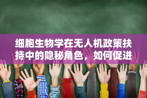 细胞生物学在无人机政策扶持中的隐秘角色，如何促进智能飞行器的安全与高效？