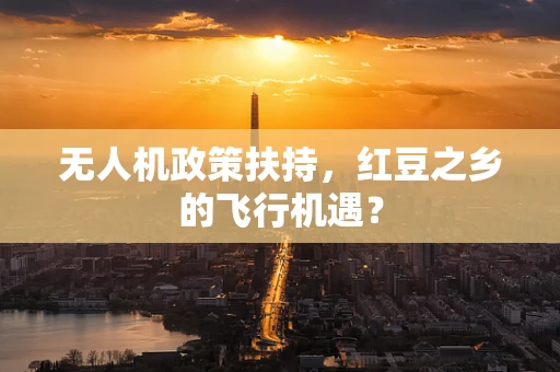 无人机政策扶持，红豆之乡的飞行机遇？