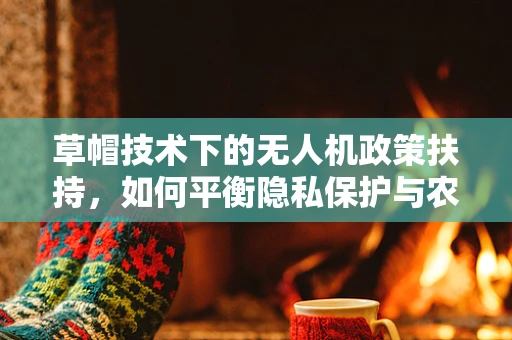 草帽技术下的无人机政策扶持，如何平衡隐私保护与农业监测的边界？