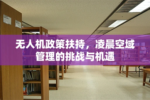 无人机政策扶持，凌晨空域管理的挑战与机遇