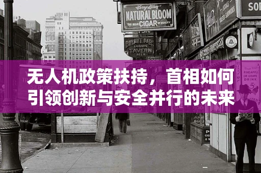 无人机政策扶持，首相如何引领创新与安全并行的未来？
