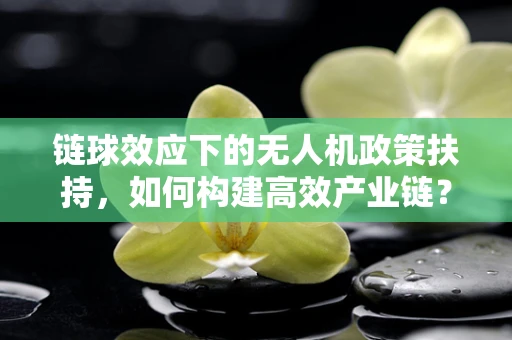 链球效应下的无人机政策扶持，如何构建高效产业链？