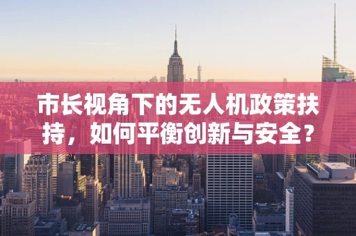 市长视角下的无人机政策扶持，如何平衡创新与安全？