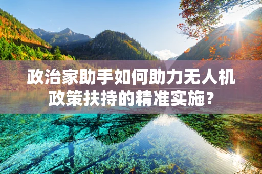 政治家助手如何助力无人机政策扶持的精准实施？