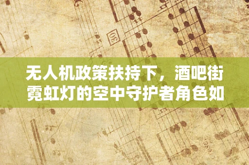 无人机政策扶持下，酒吧街霓虹灯的空中守护者角色如何界定？