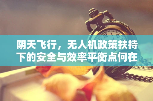 阴天飞行，无人机政策扶持下的安全与效率平衡点何在？