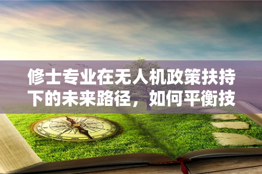 修士专业在无人机政策扶持下的未来路径，如何平衡技术创新与法规遵从？