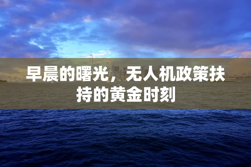 早晨的曙光，无人机政策扶持的黄金时刻