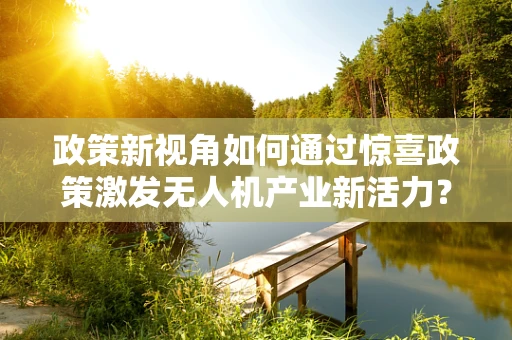 政策新视角如何通过惊喜政策激发无人机产业新活力？