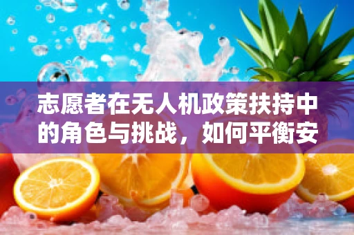 志愿者在无人机政策扶持中的角色与挑战，如何平衡安全与参与？