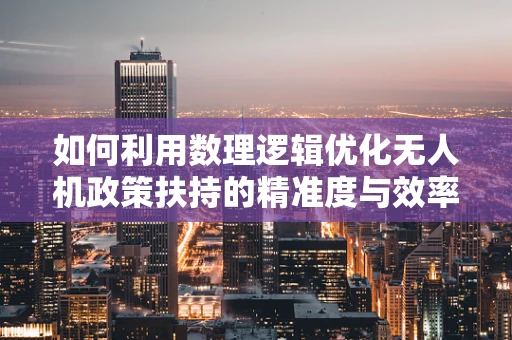 如何利用数理逻辑优化无人机政策扶持的精准度与效率？