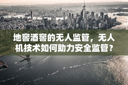 地窖酒窖的无人监管，无人机技术如何助力安全监管？