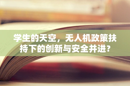 学生的天空，无人机政策扶持下的创新与安全并进？