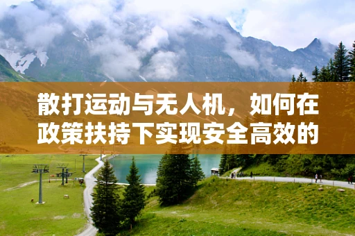 散打运动与无人机，如何在政策扶持下实现安全高效的空中训练？