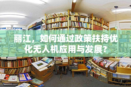 丽江，如何通过政策扶持优化无人机应用与发展？