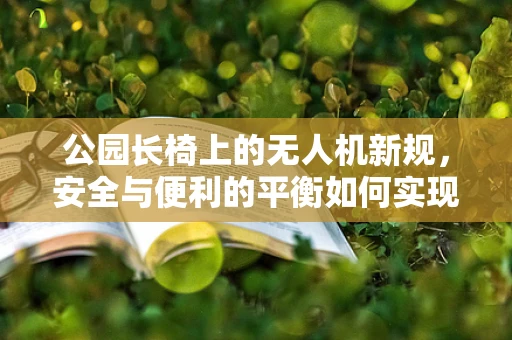 公园长椅上的无人机新规，安全与便利的平衡如何实现？