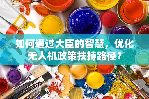 如何通过大臣的智慧，优化无人机政策扶持路径？