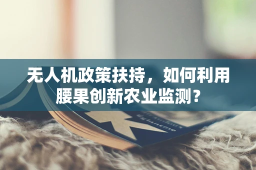 无人机政策扶持，如何利用腰果创新农业监测？