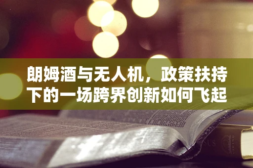 朗姆酒与无人机，政策扶持下的一场跨界创新如何飞起来？