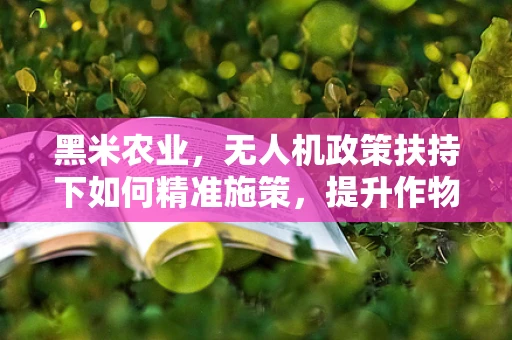 黑米农业，无人机政策扶持下如何精准施策，提升作物产量？