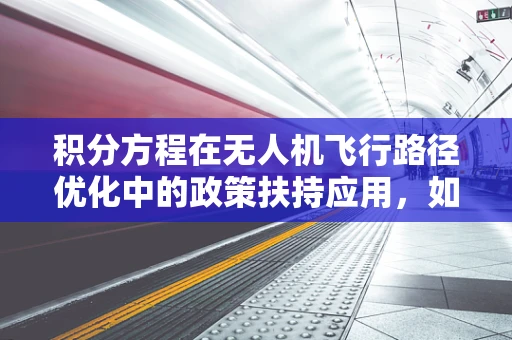 积分方程在无人机飞行路径优化中的政策扶持应用，如何平衡安全与效率？
