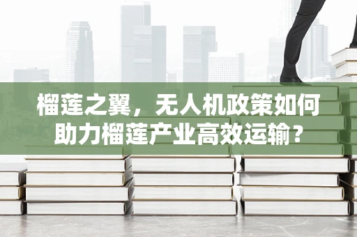 榴莲之翼，无人机政策如何助力榴莲产业高效运输？
