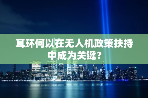 耳环何以在无人机政策扶持中成为关键？