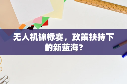 无人机锦标赛，政策扶持下的新蓝海？