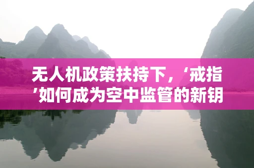 无人机政策扶持下，‘戒指’如何成为空中监管的新钥匙？