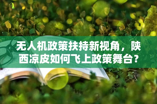 无人机政策扶持新视角，陕西凉皮如何飞上政策舞台？